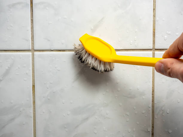 Best Black Mold Removal  in Holtville, AL